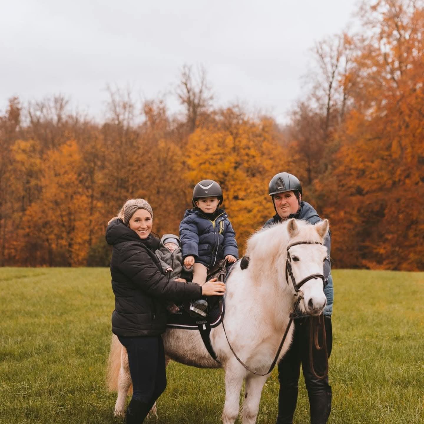 reitschule-grossostheim
